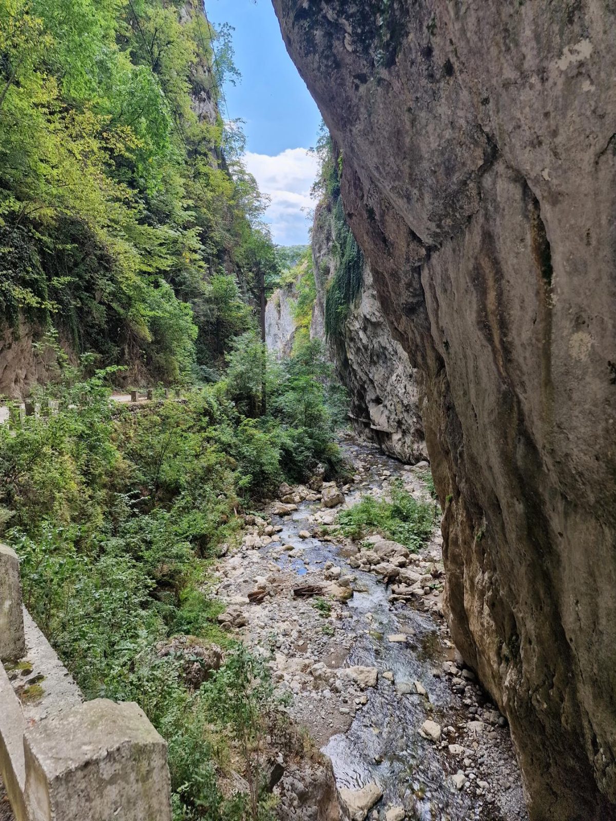 Cheile Bistriței
